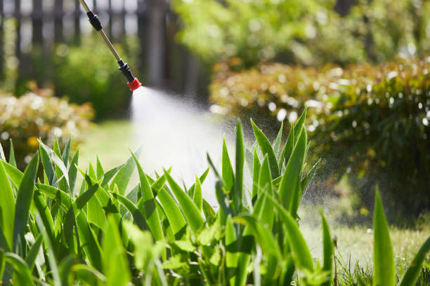 24/7 Emergency Ant Control experts in Emmonak, AK